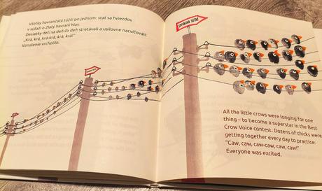 Kniha havrancek kuki, 