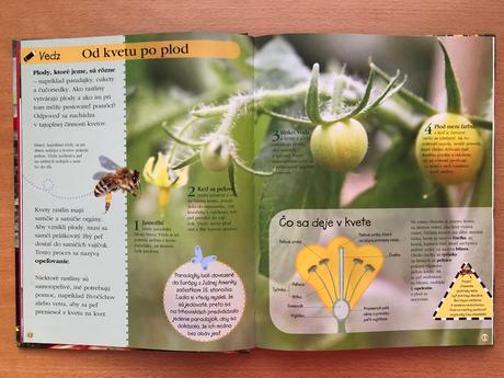 Kniha dopestuj a zjedz, 