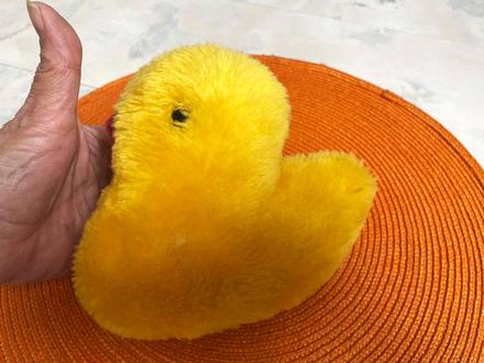 Plyšová kačička,