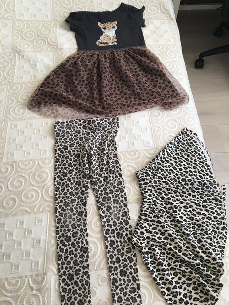 Leopard,
