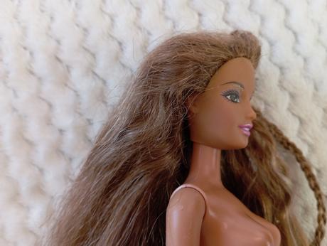 Barbie rayla bez oblečenia,