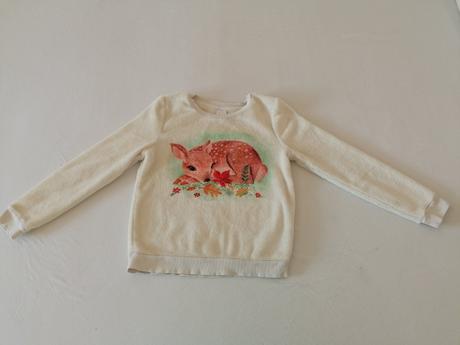 Mikinka, palomino,134