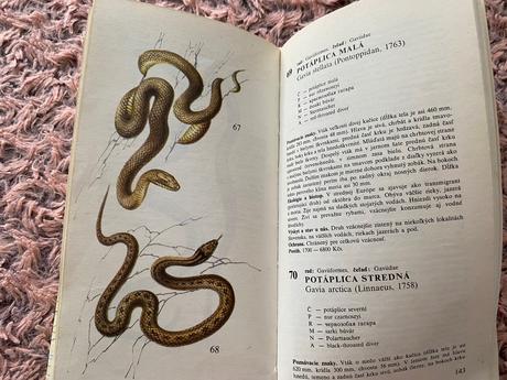 Atlas chránených živočíchov slovenska  a. čaputa,, 