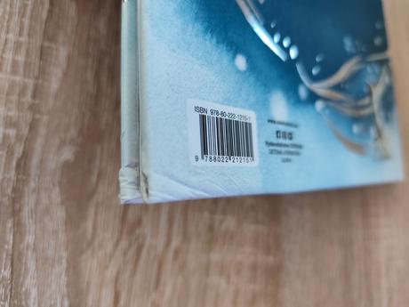 Kam chodia snehoví anjeli - maggie o'farrell, 