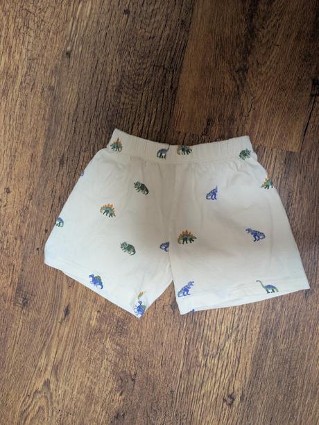 Kraťasy dinosaury, 98