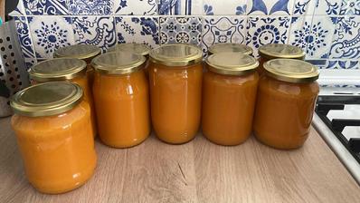 Šťava z mrkvy bio,, 