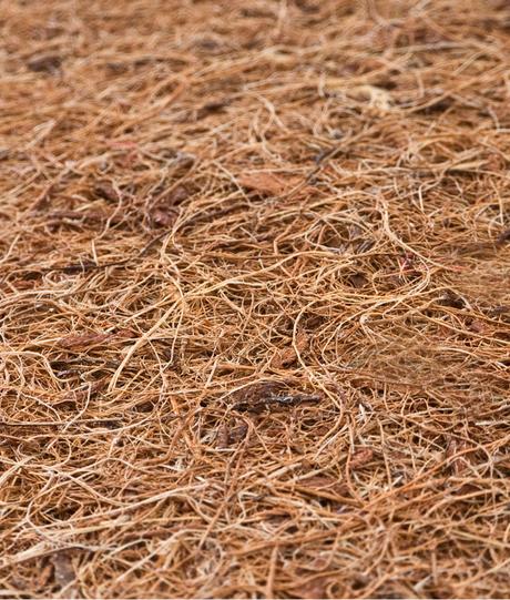 Sensillo matrac pohánka-molitán-kokos hr.11cm, 140, šírka (cm): 70,dĺžka (cm): 140