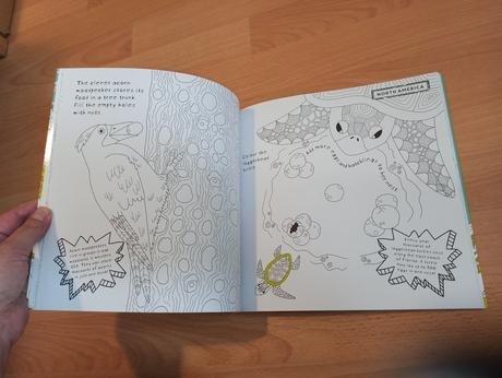 Picture wild wonders s nalepkami,