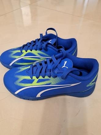 Halovky puma, puma,29