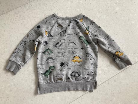 Mikinka s dinosaurami - 92/98, george,98