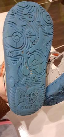 D.d. step, d.d.step,24