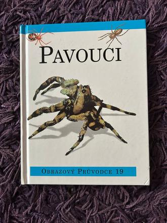Pavouci, 