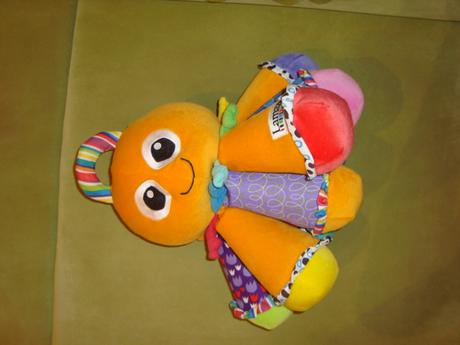 Hudobná chobotnička, 