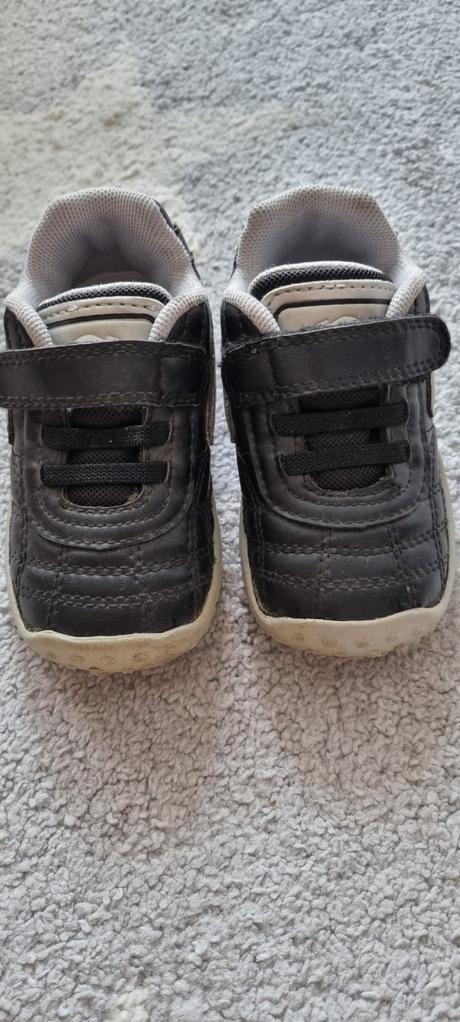 Botasky v.22, kangaroos,22