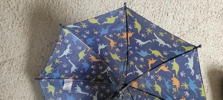 Dáždnik pepco,