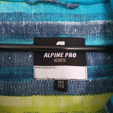 Zimna bunda, alpine pro,s
