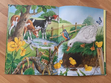 Zatúlané zvieratká, 