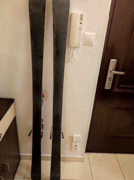 Lyže dynastar d'stinct 160 cm, dynastar,160-169 cm