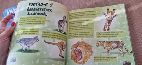 Elsō enciklopediam, 