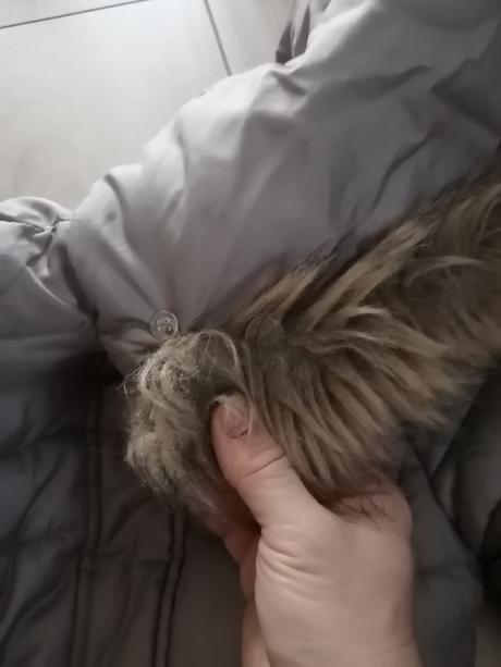 Teplá kvalitná zimná bunda, c&a,128