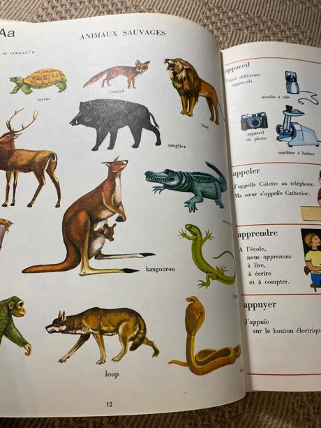 Krásny starý retro slovník učebnica francúzštiny, 