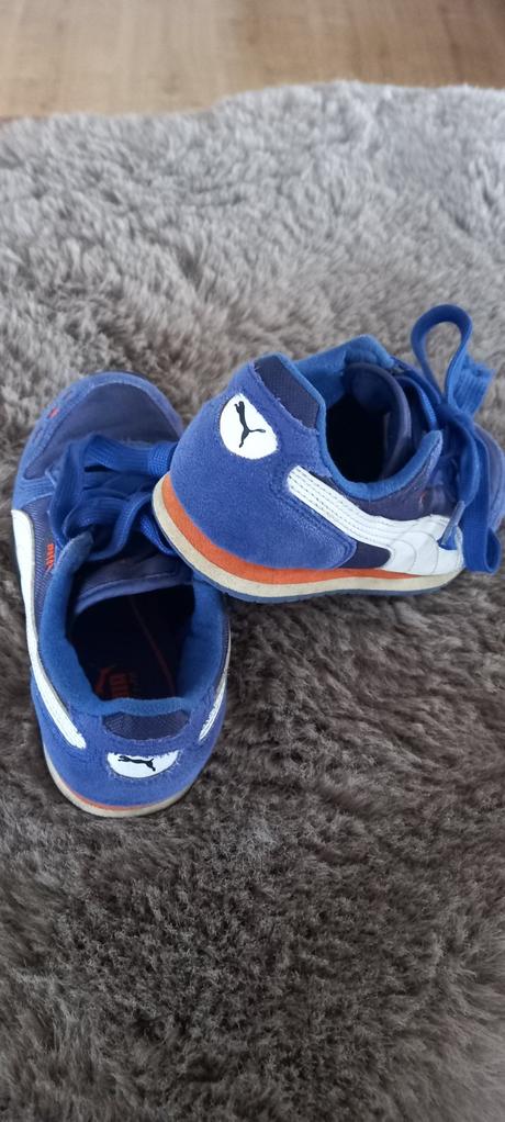 Botasky, puma,31