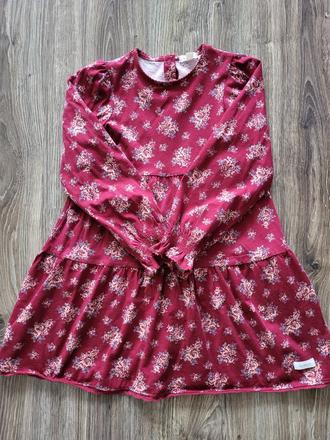 Newbie saty, newbie,122