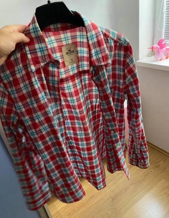 Hollister kosela, hollister,s