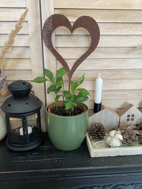 Hrdzavý zápich - srdce, 