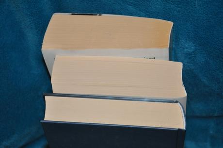 2x ian rankin v nemcine,