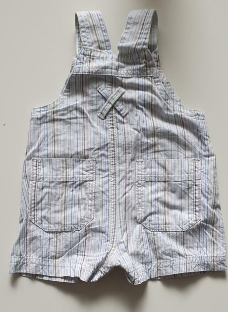 Kraťasy, st. bernard,56