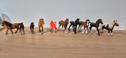 Koniky schleich,