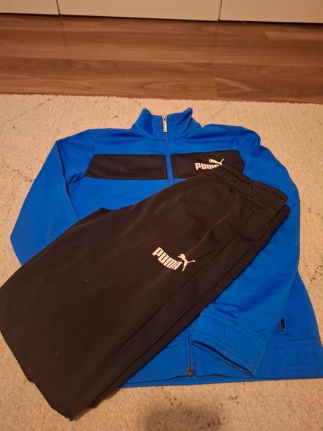 Teplakova suprava, puma,152