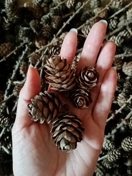 Šišky smrekovca 30 ks, 