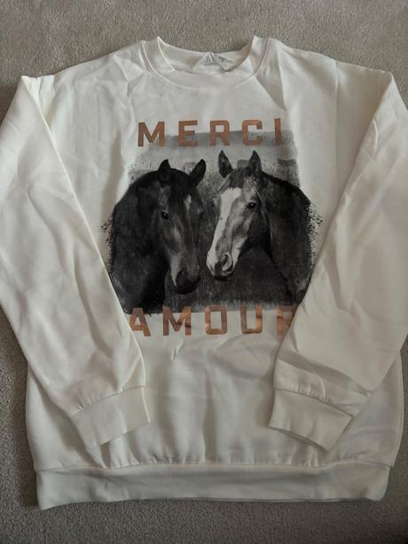 Mikina kôň, h&m,164