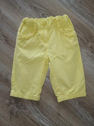 Kratasy, palomino,104