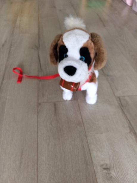 Chodiaci a štekajúci psík,