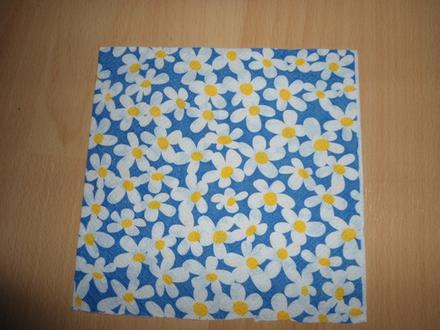 Servítka /servítok,