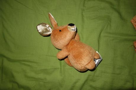 Novy kostymcek pre klokana jumpin' joey,