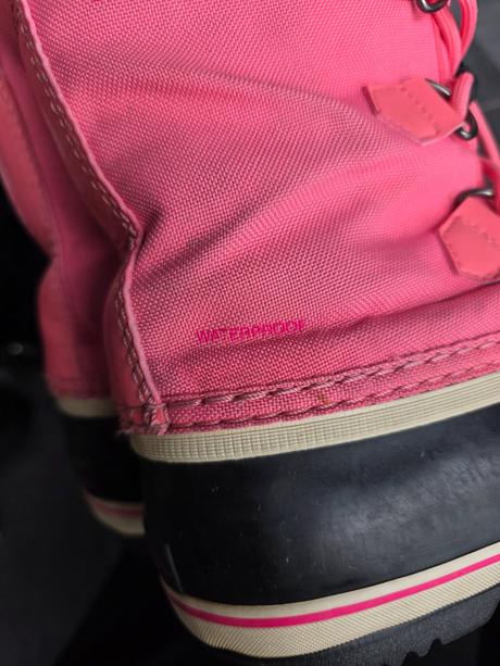 Snehule sorel, sorel,34