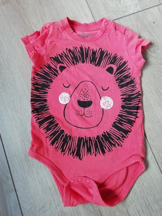 Body levik, pepco,80