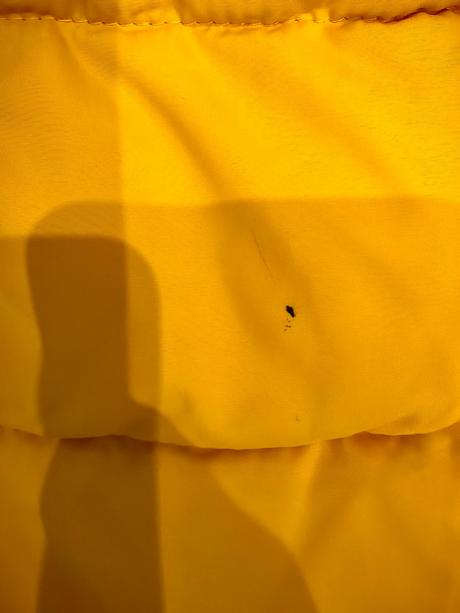 Horčicova vestička, reserved,158