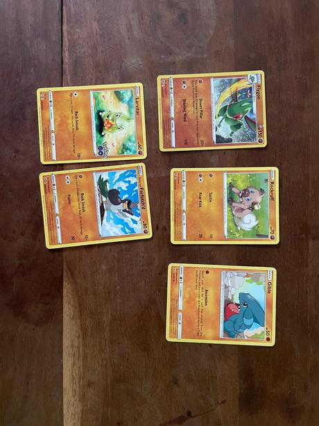 Pokémon karty a obal,