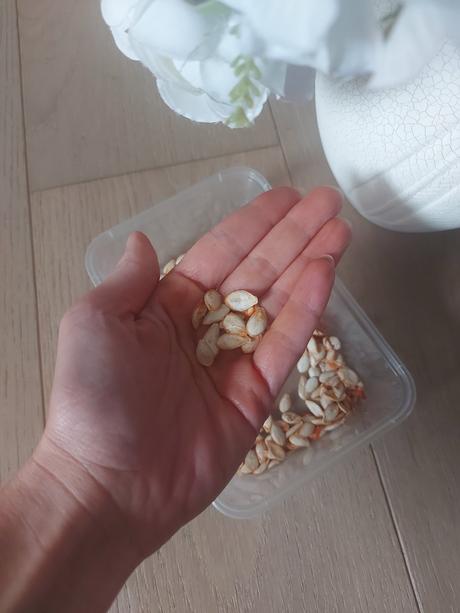 Muskatova tekvica - maslova- semena, 