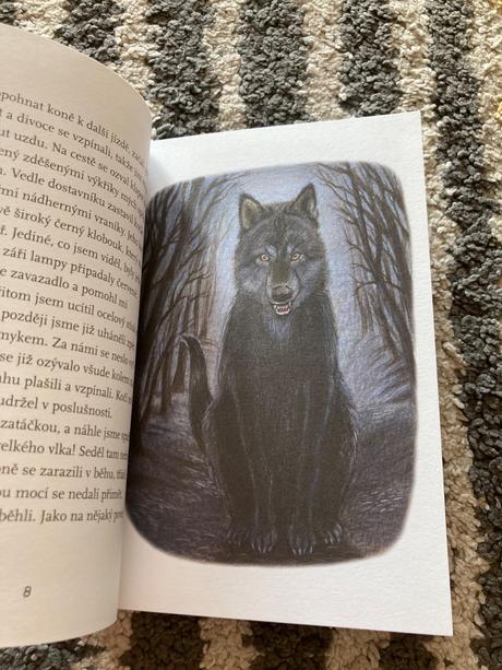 Drákula bram stoker (2013),