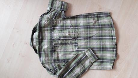 Kosela, palomino,110