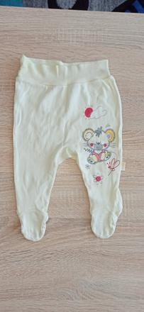 Polodupacky s myskou, 62