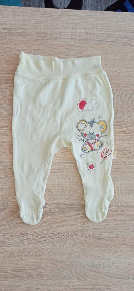 Polodupacky s myskou, 62