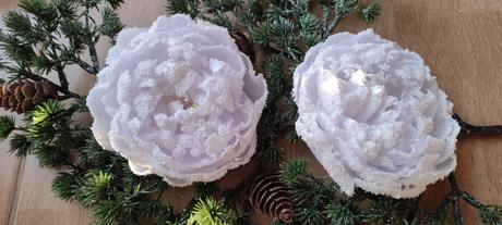 Zimná pivonka s kúzlom snehu a mrazu, 