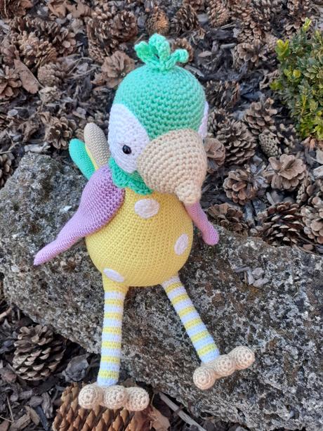 Háčkovany papagaj, 